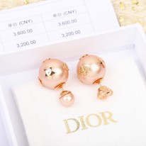 디올 귀걸이